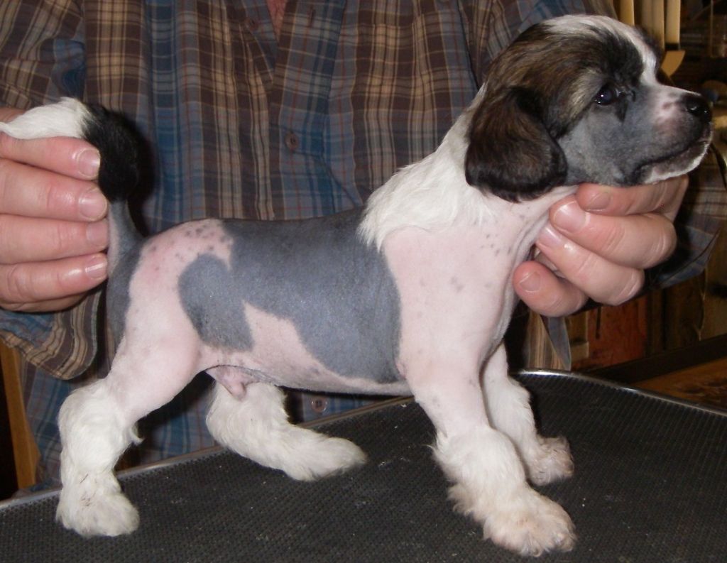 Untouchable's Love Unlimited