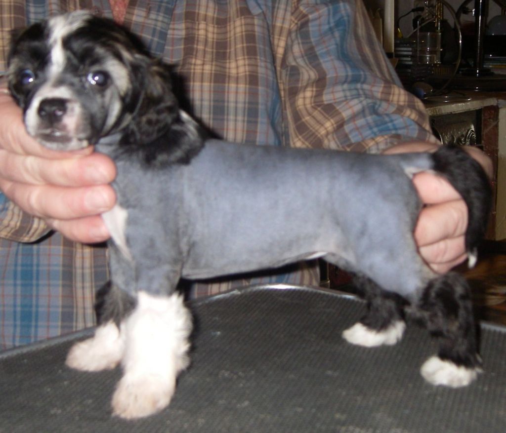 Untouchable's Love And Affection