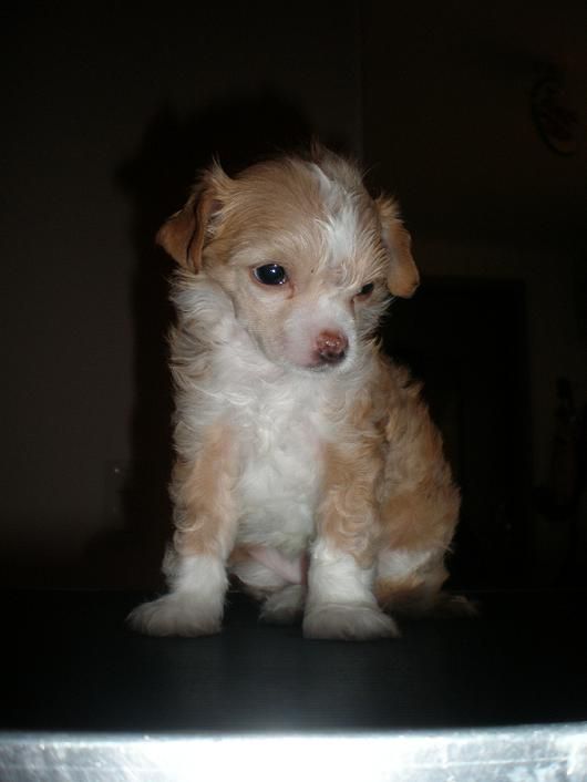 Lucky Line's Jump In