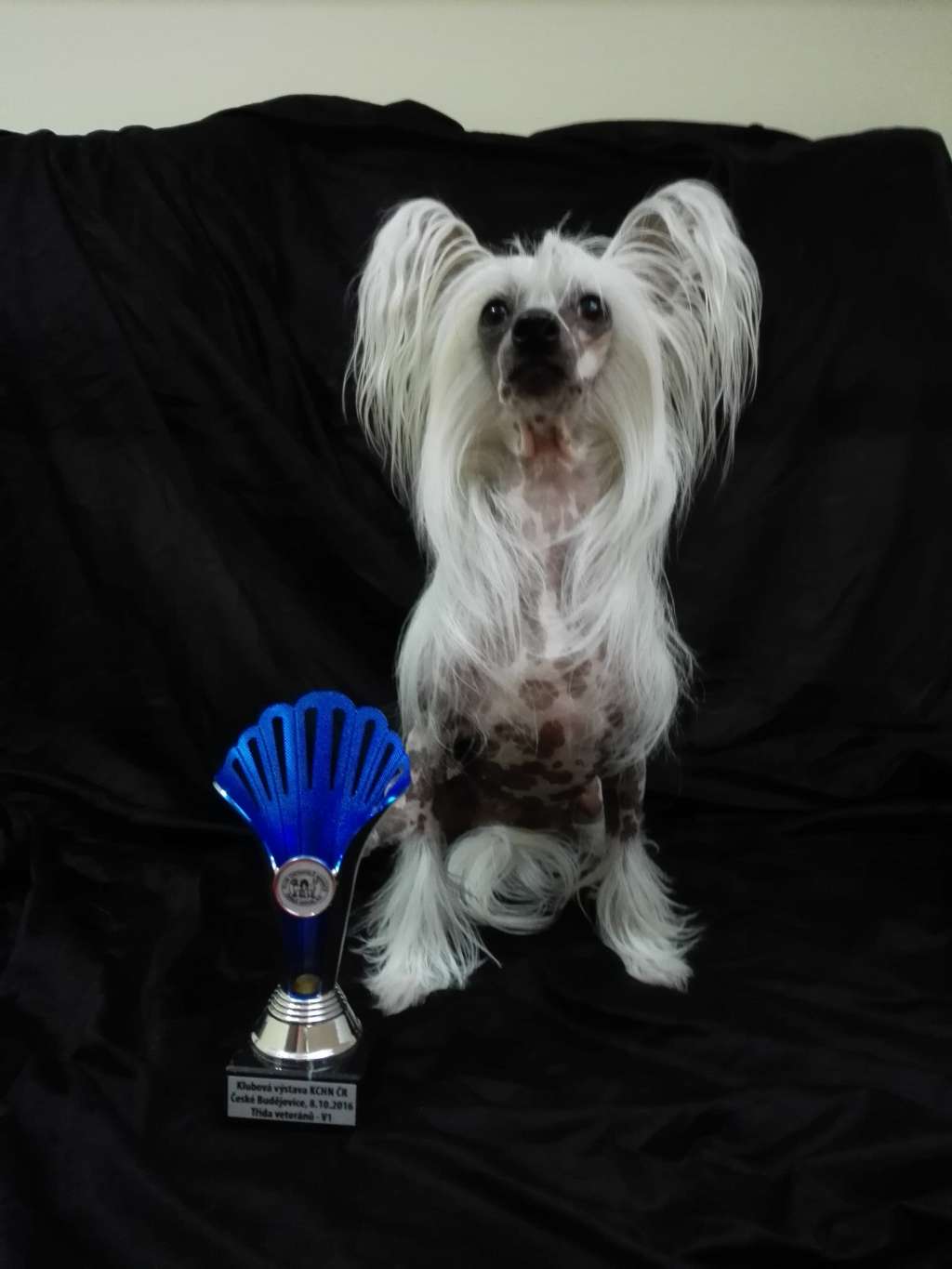 Daila Sing-Song ze Shetlandu