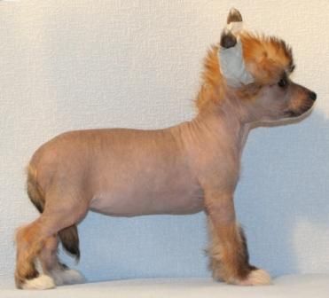 Jemchyjinka Sibiri from Khakasia