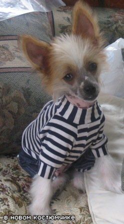 Jgychij Poselyj from Khakasia