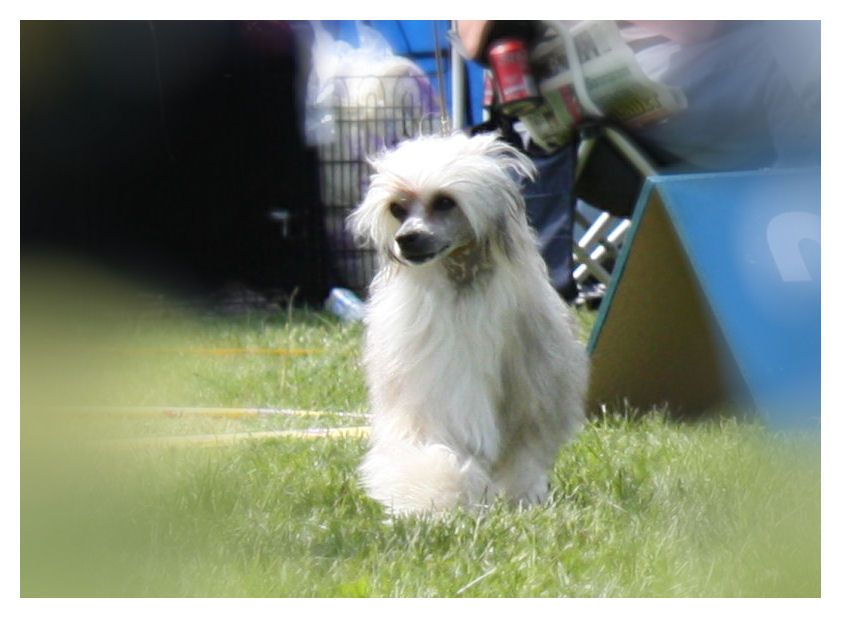 Twice as Nice One Step Closer