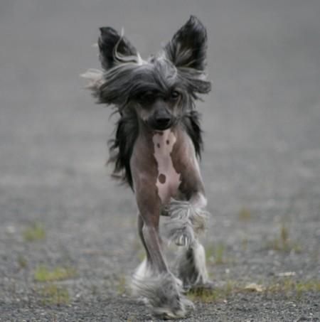 Twice as Nice On Fire