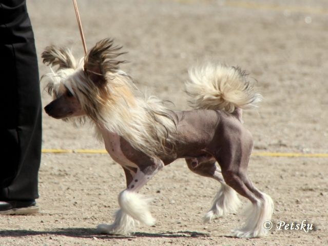 Selfcresteem's Xhibit Xzibit