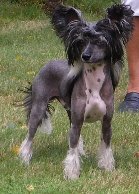 Charity's Me Now Or Never