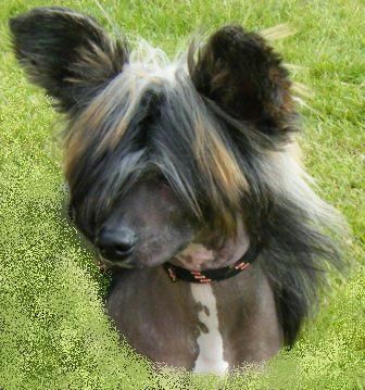 Charity's Me Myself N'I