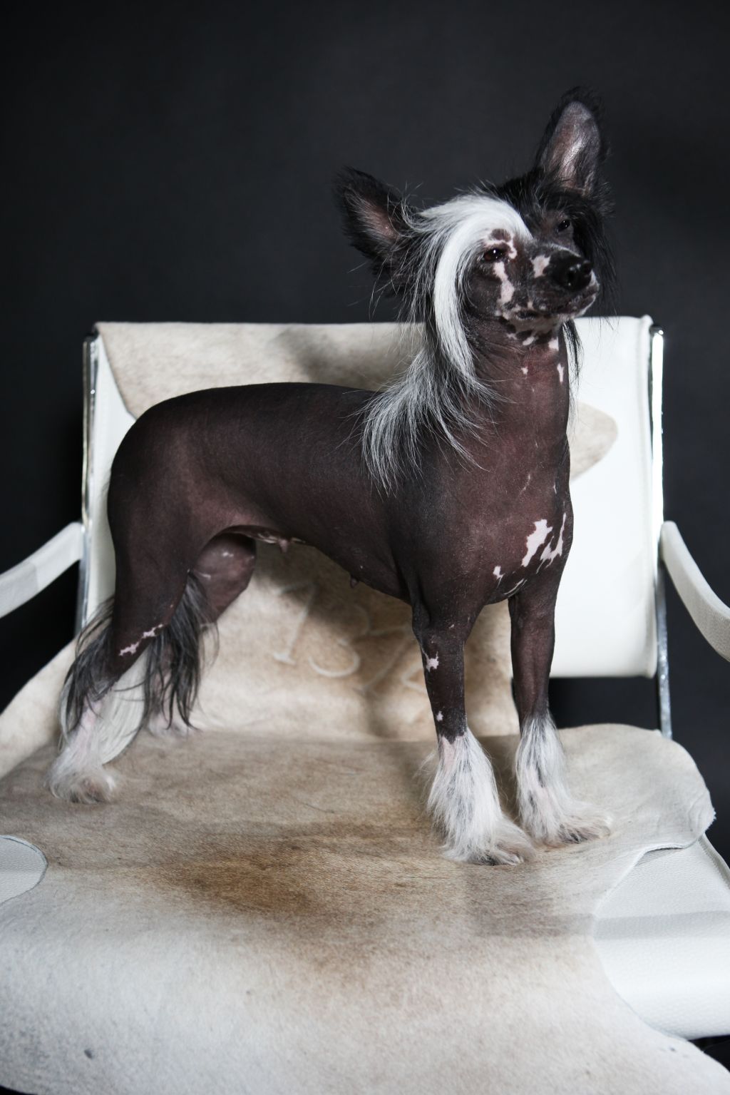 Rianna Nataki Fanrock