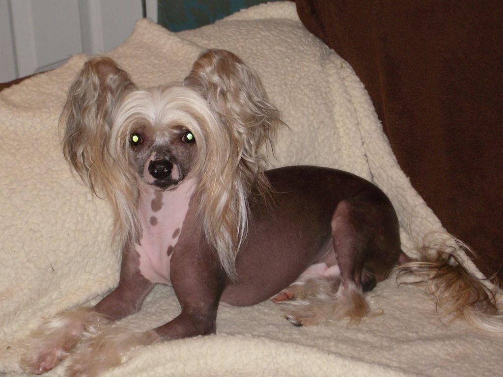 Bradwen The Fall Guy