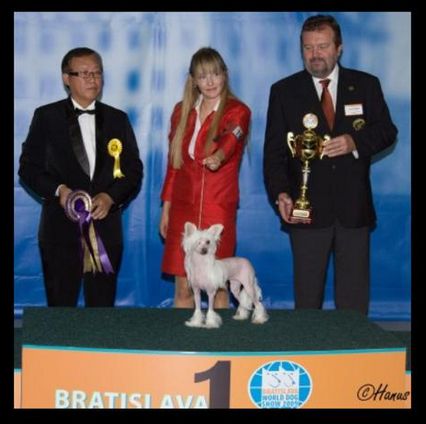 Zorrazo Naughty Angel