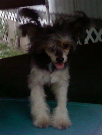 DeeKays Take It To The Limit