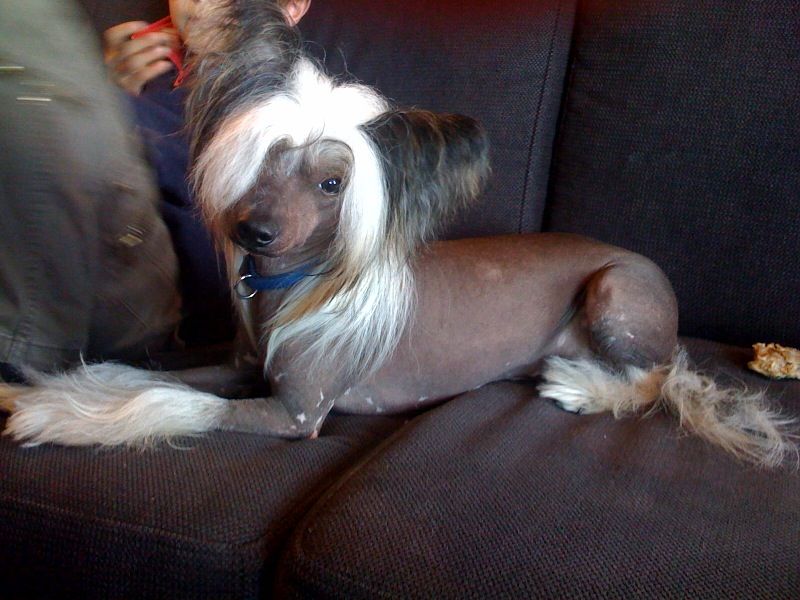 Sørås-Siden's Yadu Naku