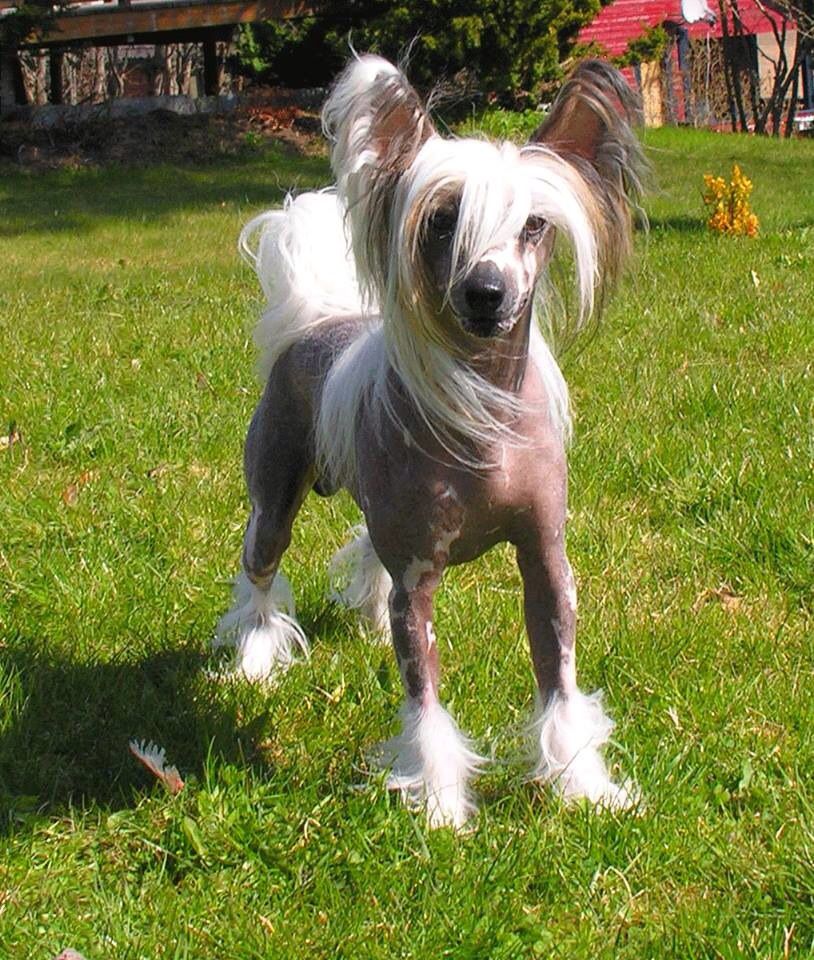 Rimabra's Talking About Me