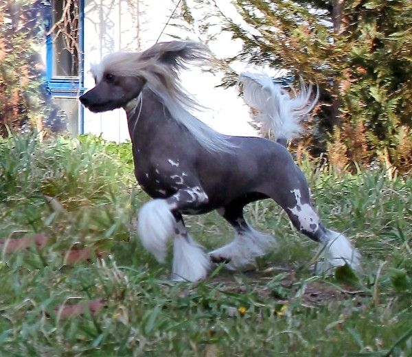 Rimabra's Oops I Did It Again