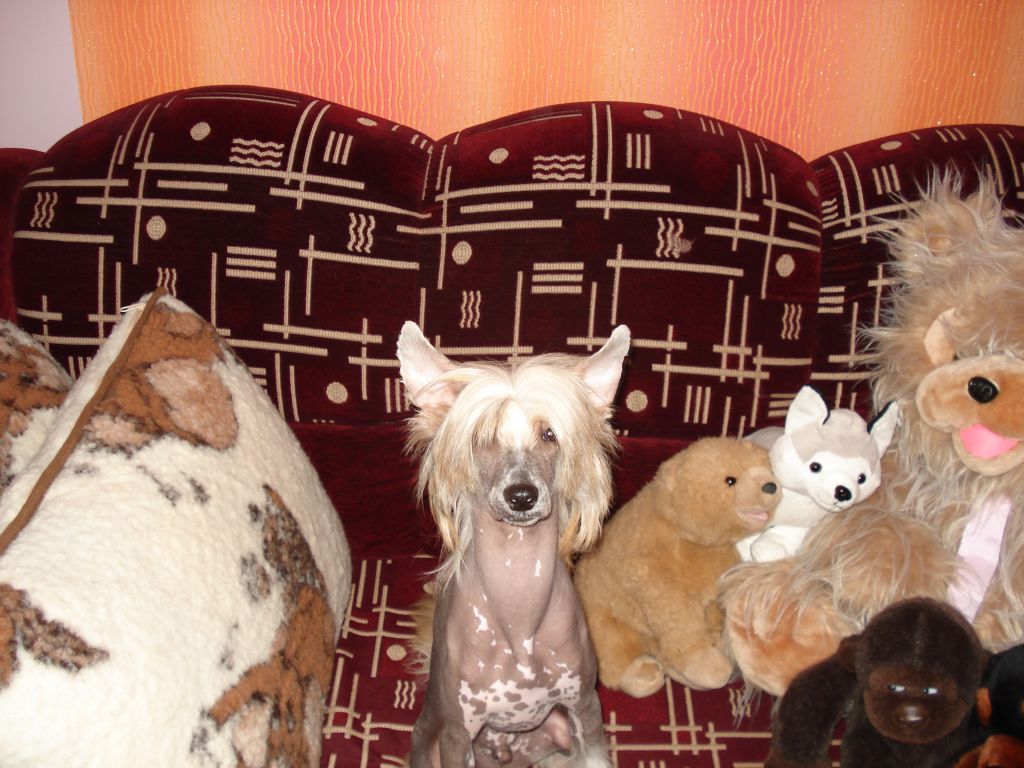 Rouber Balt J-Amuras Mit