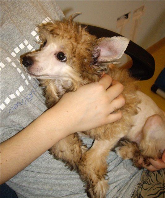 Endless Kiss Heartbreaker