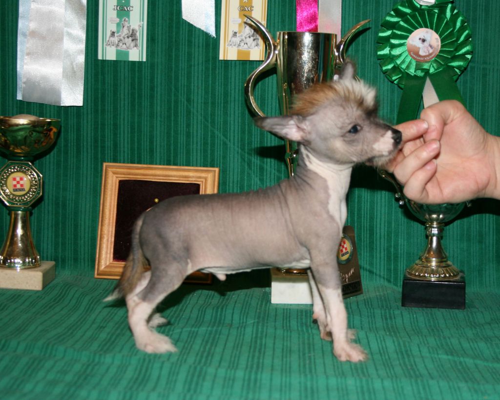 Ronaldo s Tushinskogo Doma