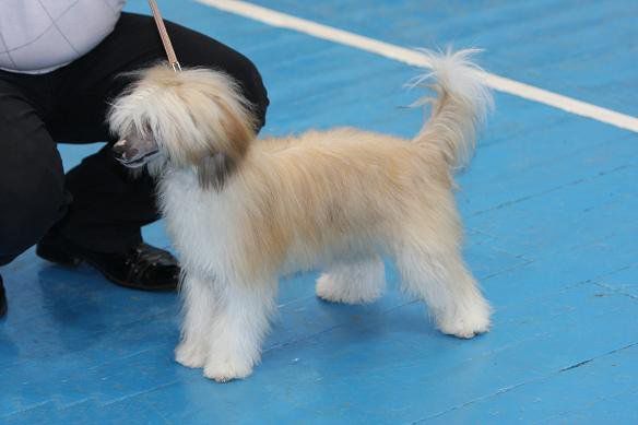 Richard s Tushinskogo Doma