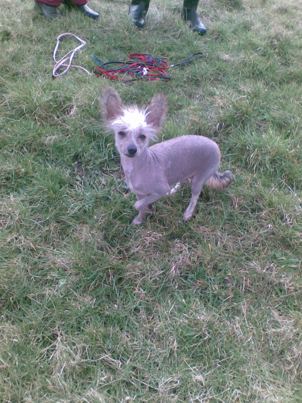 zerachiel classy lady