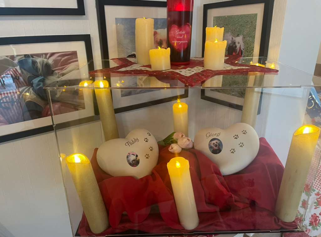 Treasure Guardians Crazy Horse