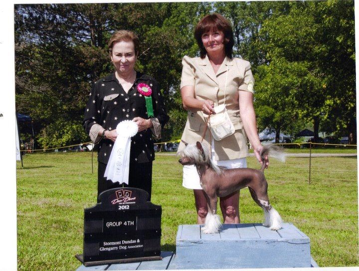 Crestyle Glitz'n Glamour HL