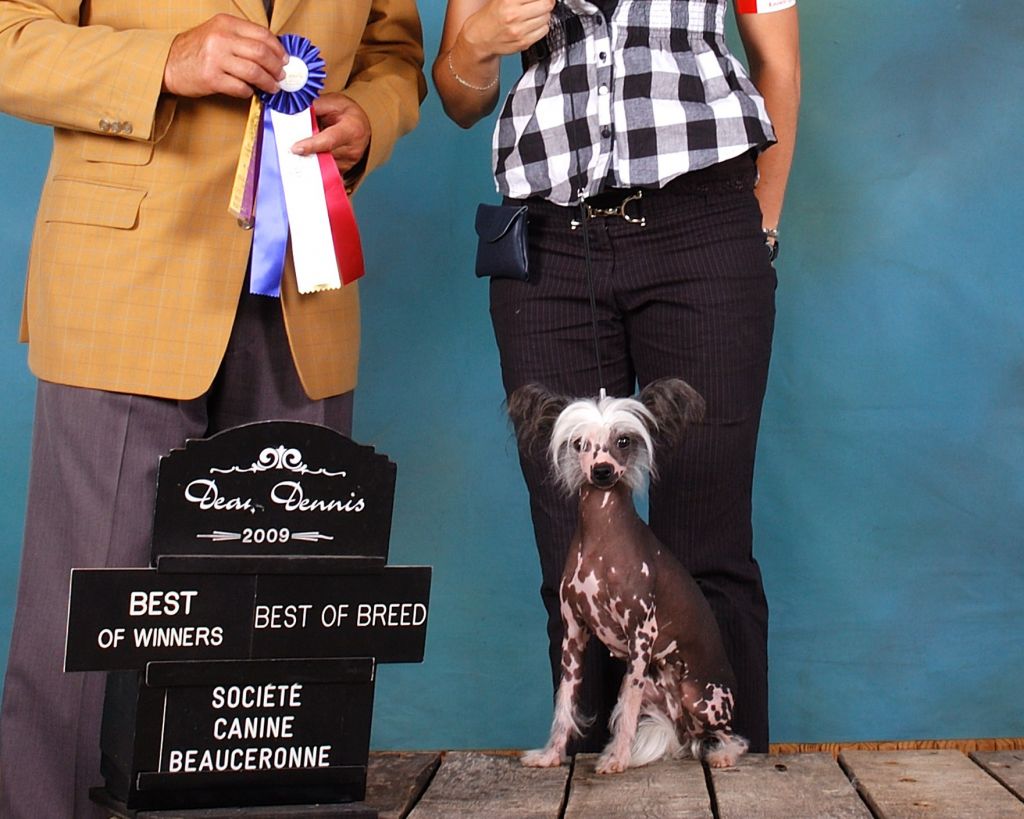 Nu Poils Shell of Two Pearl