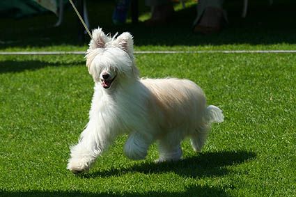 Chattanooga's Love Me