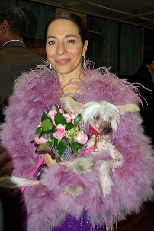 Kredo Festa Never Say Never