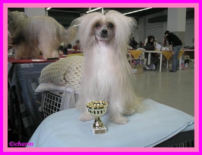 Annalies Bohemia Ortles