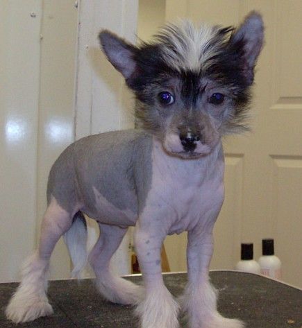 Show'NTell's Dark-n-Stormy Weather