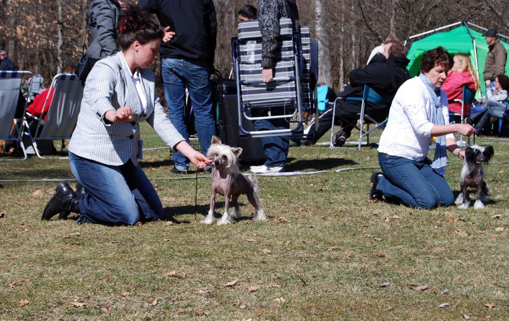 Tiangou's Nice Surprise