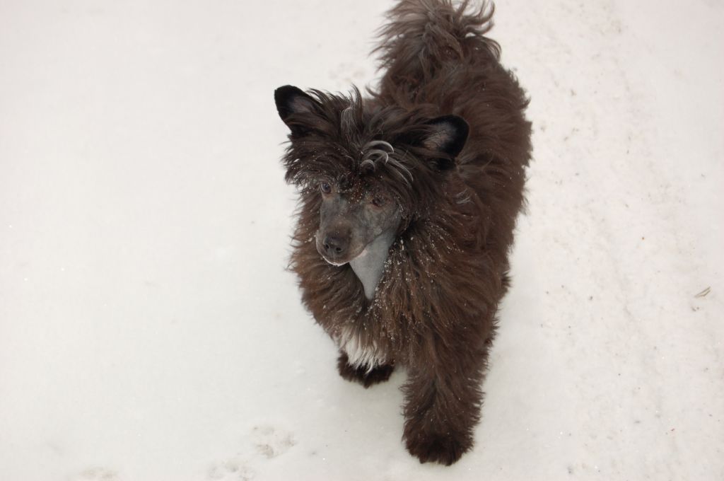 Tiangou's Nice Design