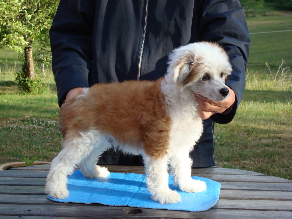 Prefix George Washington