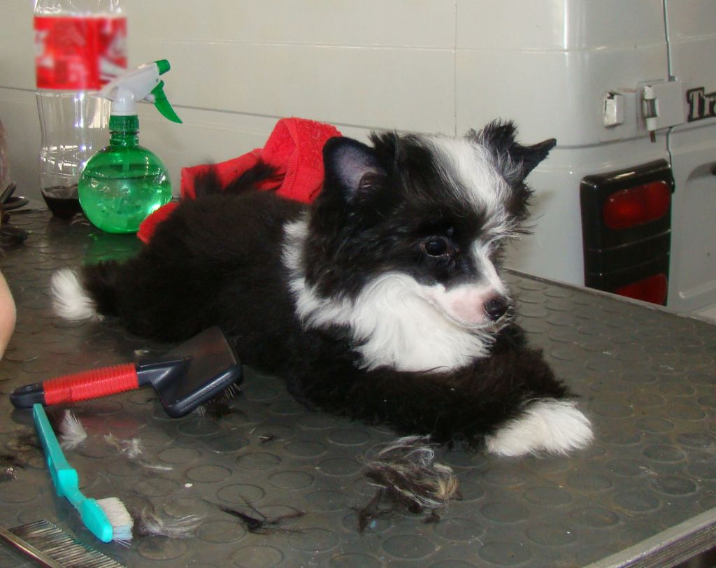 November Storm FalaZairroo