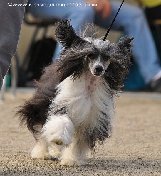 Arte Figure Diskobolos