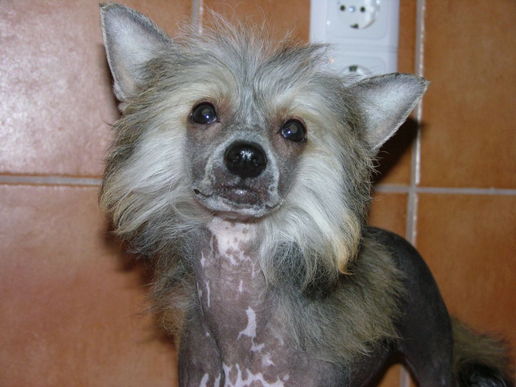 Be My Diamond Di Rabozi