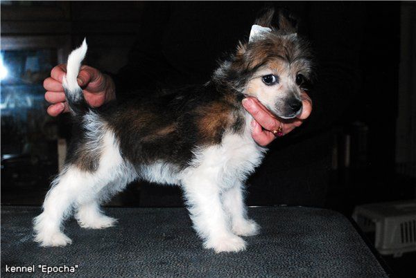 Love At First Sight Epocha