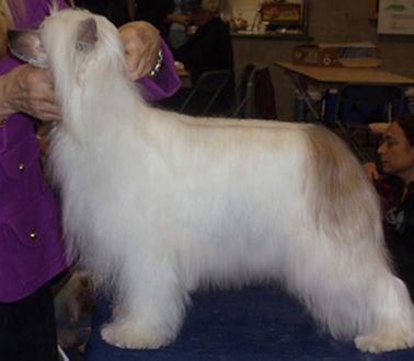 Rompford Unforgetable