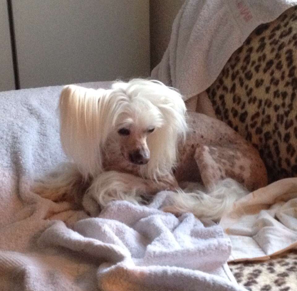 Ocean white Weave Fantasy Island