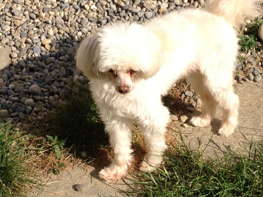 Royal Cinderella Fantasy Island