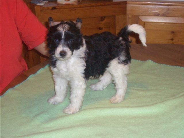 Forever Mine Fantasy Island