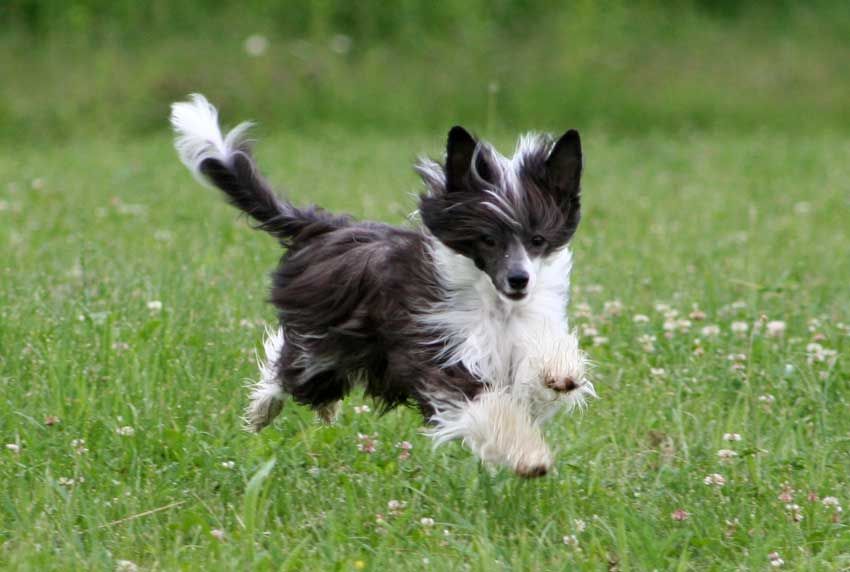 X-Ypsilon de GabriTho