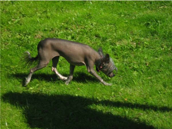 Ashanti From Angels Fundation