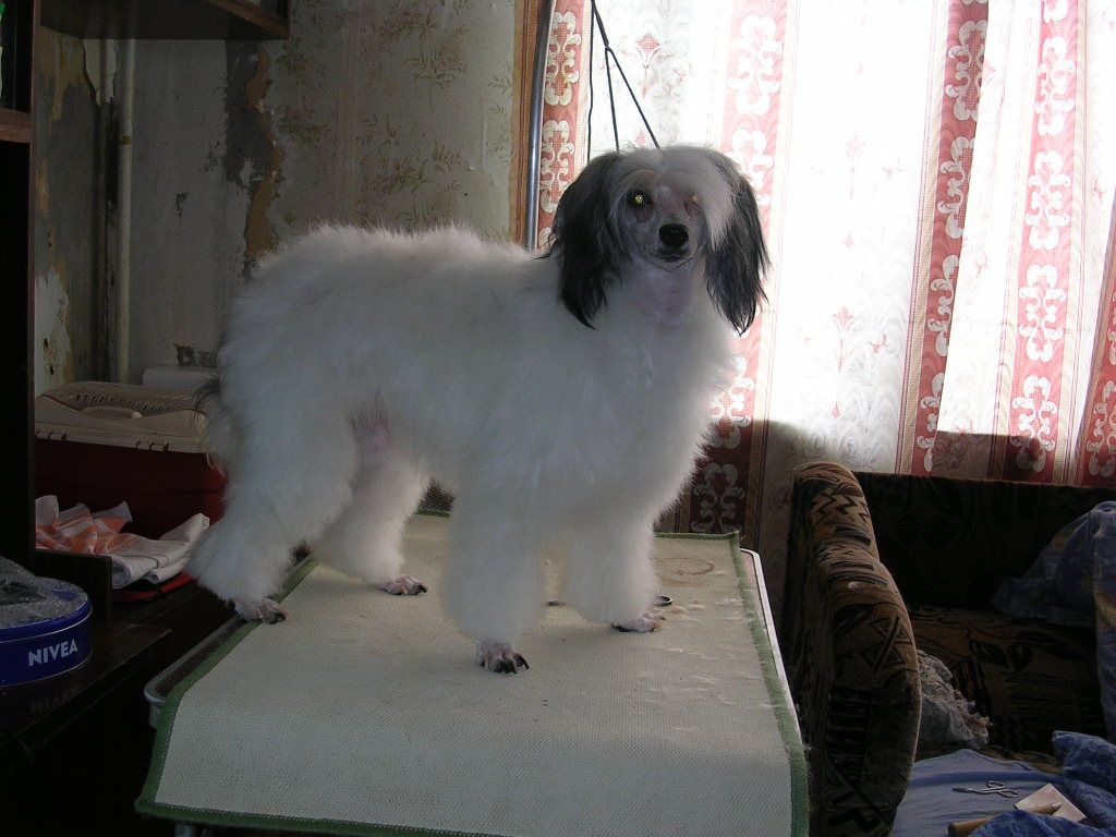 Strong Style July Djefy