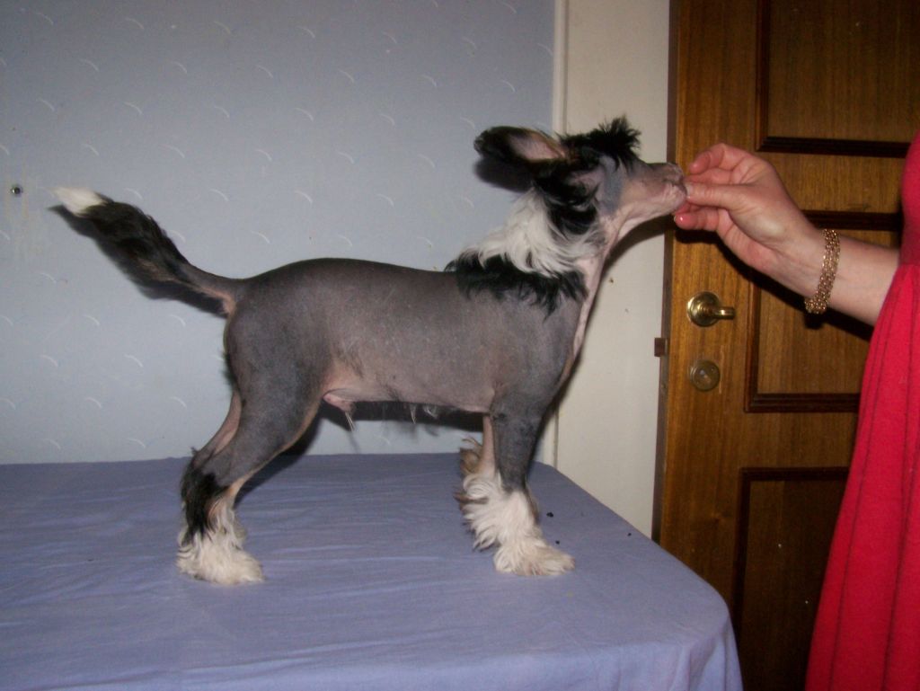 Topgrade Walk An A Line