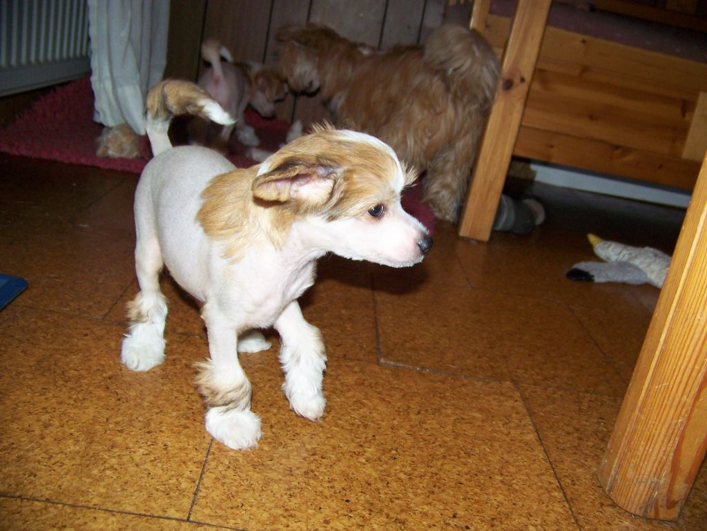 Topgrade Man in The Mirror