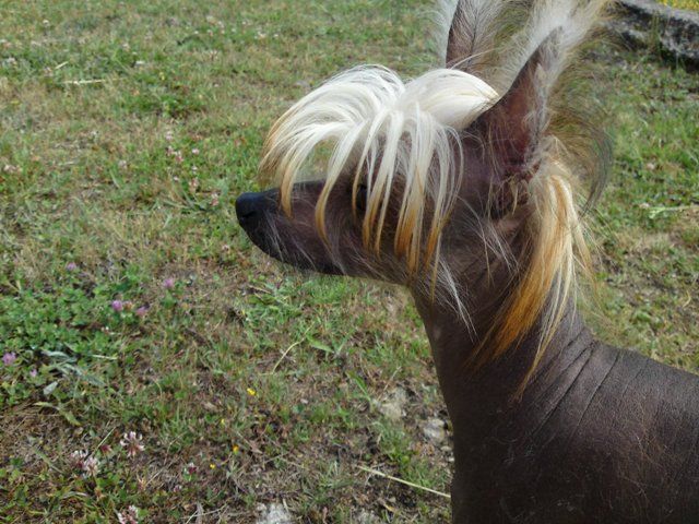 Xandilara Be My Dancing Queen