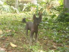 Xandilara Be My Waterloo