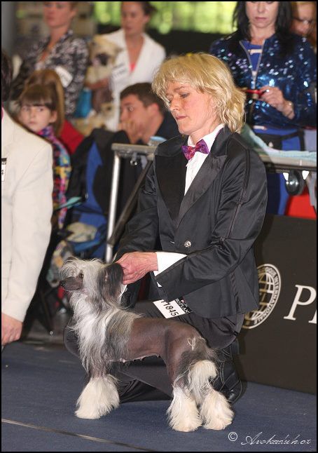 Anisia Bella Modry Vanek