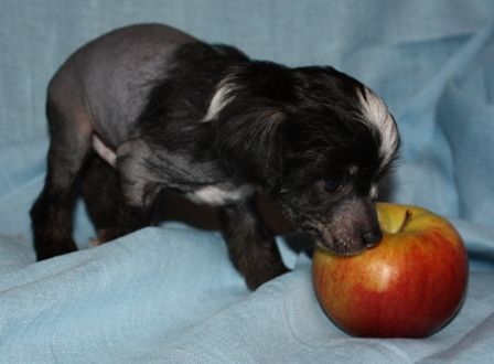 Usher Fantazy Night Mitau